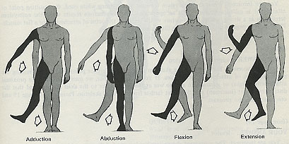 Institute of Nutrition and Fitness Sciences - Flexion vs Extension: Flexion  refers bending and extension refers stretching. Flexion - bending movement  reducing angle between the body parts. Example, Bending elbow, curling leg